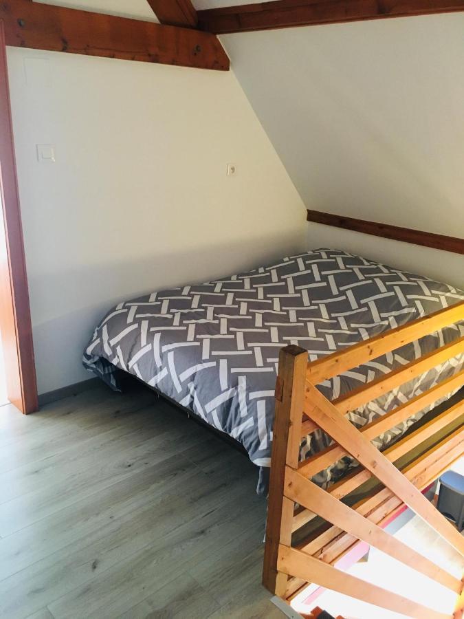 Gite De La Salamandre - 4 A 8 Personnes Lapoutroie Kültér fotó