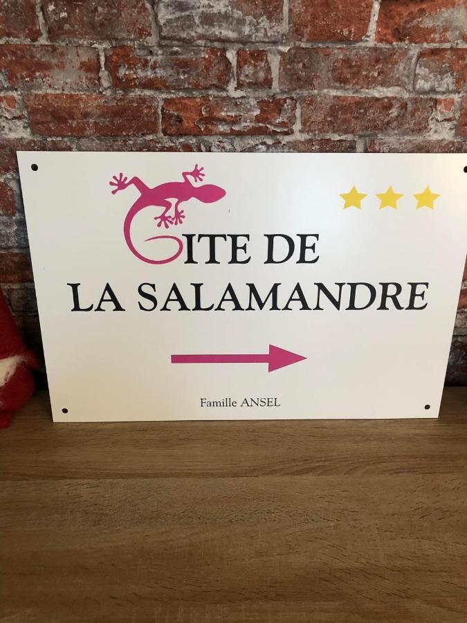 Gite De La Salamandre - 4 A 8 Personnes Lapoutroie Kültér fotó